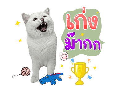 คิมบับครับผม รูปที่ 9