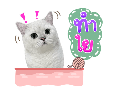 คิมบับครับผม รูปที่ 11