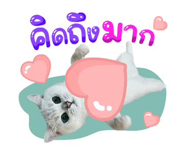 คิมบับครับผม รูปที่ 12