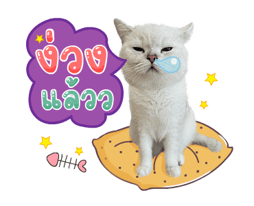 คิมบับครับผม รูปที่ 13