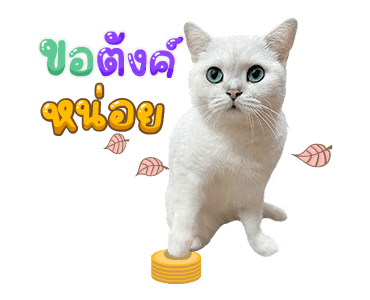 คิมบับครับผม รูปที่ 14