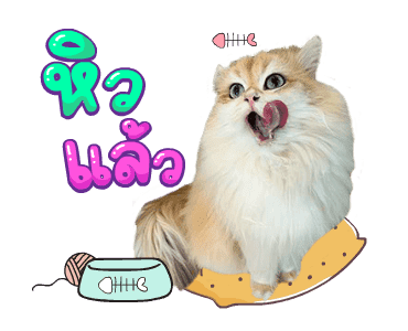 คิมบับครับผม รูปที่ 16
