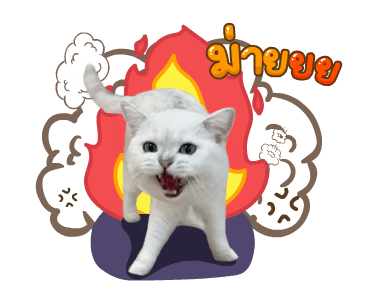 คิมบับครับผม รูปที่ 24