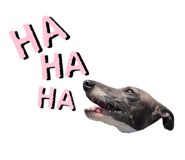 670803302