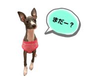 670803305