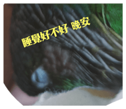 670803377