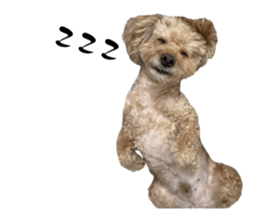 670809681