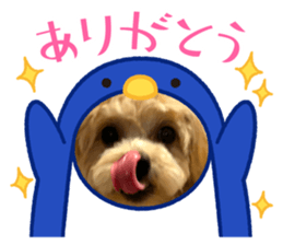 670810145