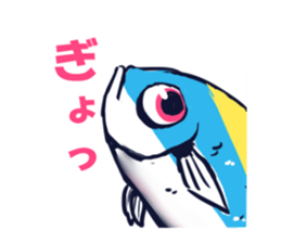 67081476