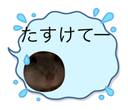 670829908