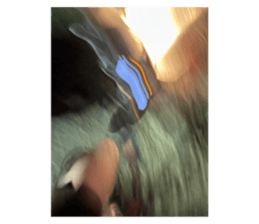 670835361