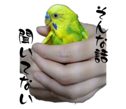670836767