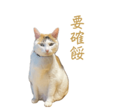 670861241