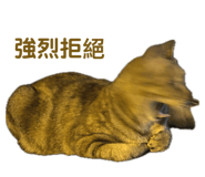 670861248