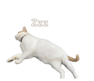 670861252