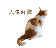 670861255