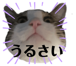 670871034