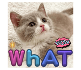 670892534