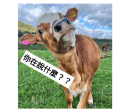 670972423