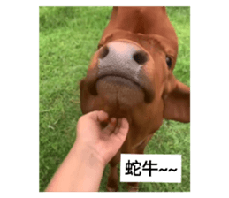 670972427