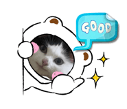 670982681