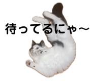 670982684