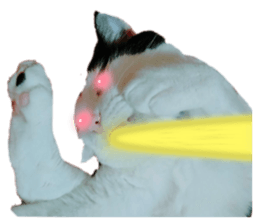 670982911