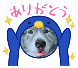671030412