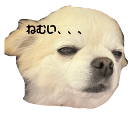 671036960