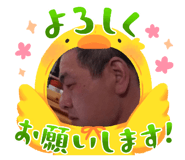 671119955