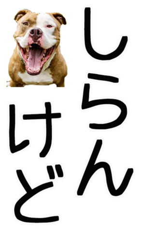 671140115