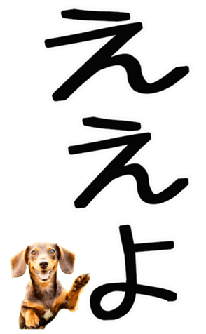 671140116