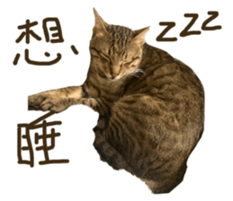 671143203