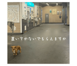 671431355