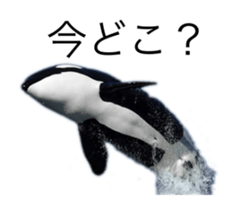 671432615