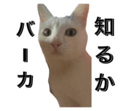 671433483