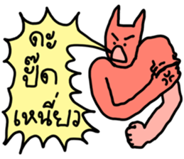 ลายที่ 13