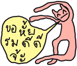 ลายที่ 43