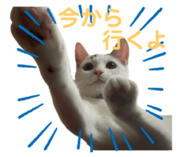 671460190
