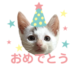 671460197