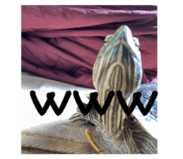 671470403