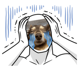 671474484