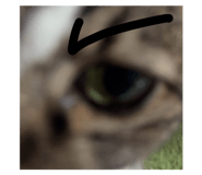 671507774