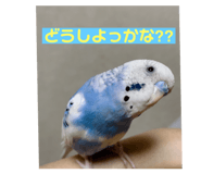 671515592