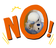 671515594