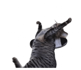 671550970