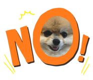 671600667