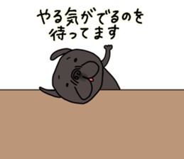 671684246