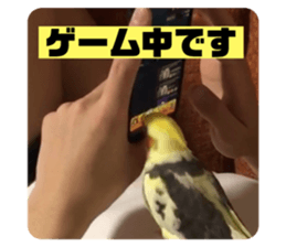 671715854