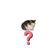 671727448